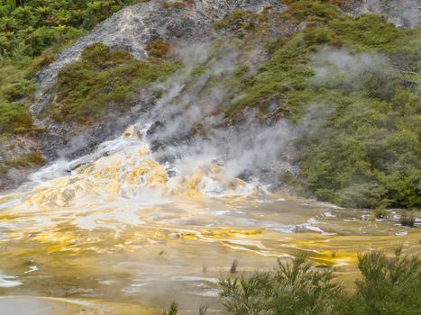 Forest wilderness surrounds geothermal hot water spring in Orakei Korako geothermal wonderland just south of Rotorua, North Island of New Zealand