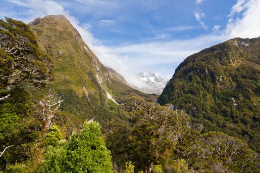 Rugged mountain wilderness in Fiordland National Park, South Island of New Zealand