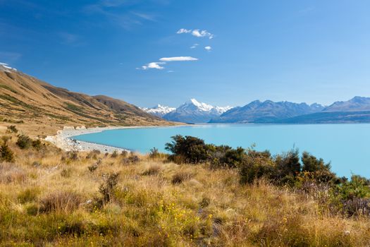 Mighty Aoraki Mount Cook towering over glacial Lake Pukaki in hues of turquoise from silt, Aoraki Mount Cook National Park, Canterbury, South Island, New Zealand