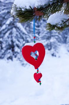 Single red heart shaped Christmas or Valentines decoration hanging from snow covered branches of pine tree in winter forest