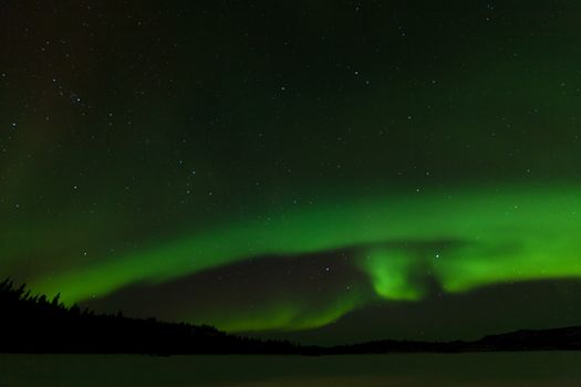 Green sparkling show of Aurora borealis or Northern Lights on night sky winter scene of Lake Laberge, Yukon Territory, Canada