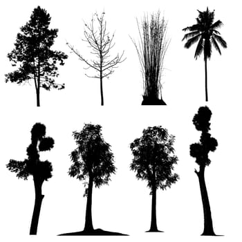 Set of silhouettes of trees