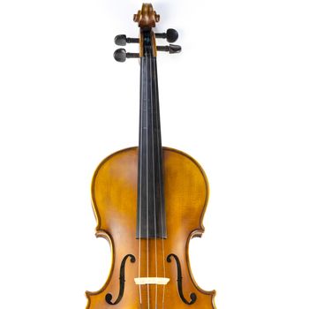 music string instrument violin isolated on white background