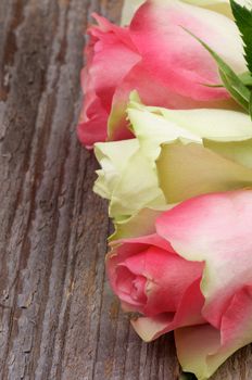 Frame of Three Beauty Pink And White Roses closeup on Rustic Wooden background