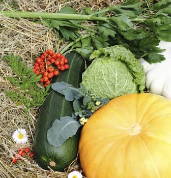 Healthy autumn vegetables