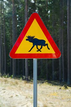 Moose roadsign in a foresty area