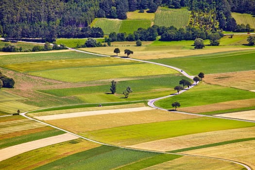 Aerial view of agricultural fields