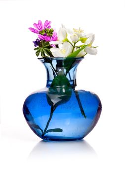 Spring flowers in blue vase  isolated on white background