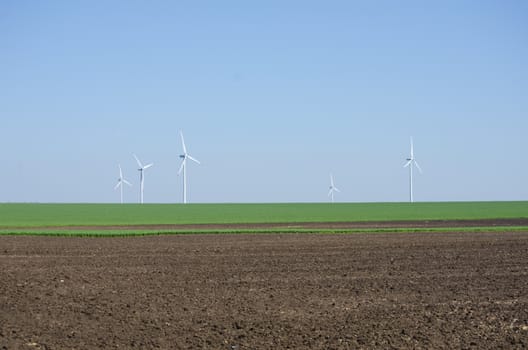 Nature Lines: Spring Field Landscape