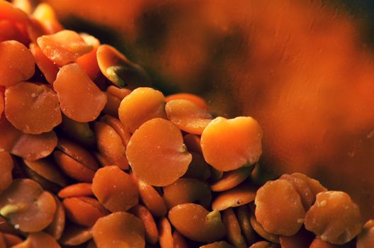 Orange lentils in back light, pattern background