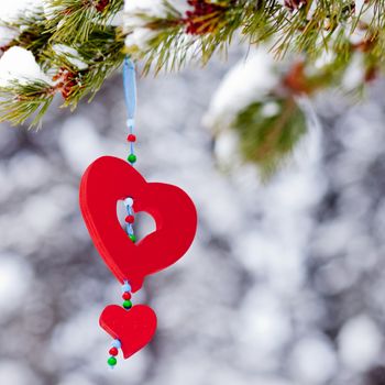Single red heart shaped Christmas or Valentines decoration hanging from snow covered branches of pine tree in winter forest