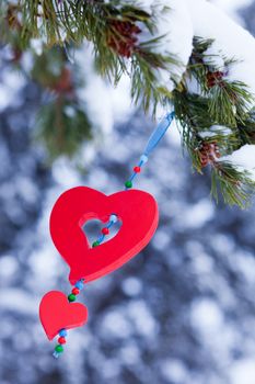 Single red heart shaped Christmas or Valentines decoration hanging from snow covered branches of pine tree in winter forest