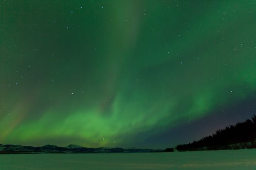 Green sparkling show of Aurora borealis or Northern Lights on night sky over winter scene landscape of Lake Laberge, Yukon Territory, Canada