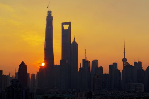 shanghay skyline