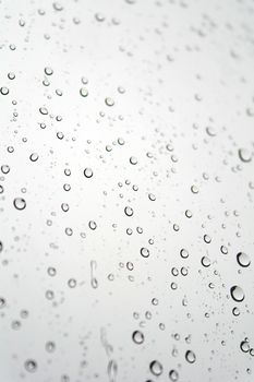 Drops of rain on the window (glass). Shallow DOF.