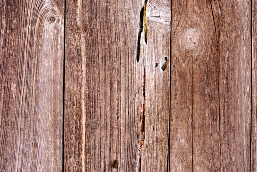 detail of natural wood texture,shallow focus