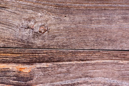 detail of natural wood texture,shallow focus