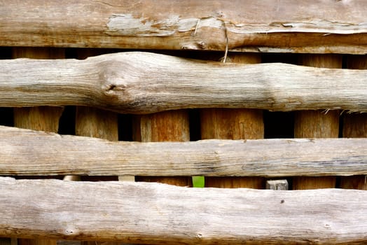 detail of natural wood texture,shallow focus