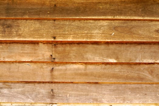 detail of natural wood texture,shallow focus