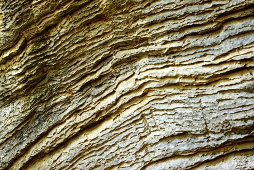 detail of natural rock texture,shallow focus