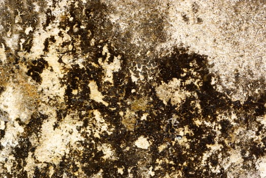 old cement texture,shallow focus