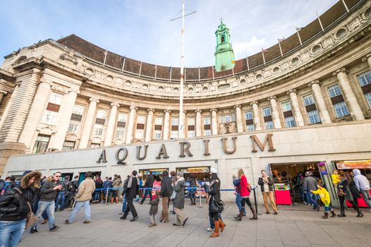 LONDON, UK  - JANUARY 27, 2013: The Sea Life Aquarium Centre, built inside the old County Hall on the River Thames South Bank in London, UK