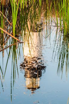 Bodie Island Lighthousereflection in pond