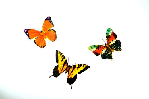 butterfly model on white scene that made from paper cutting and painting handcraft for decoration,shallow focus
