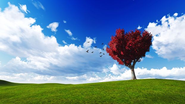trees in a meadow with blue sky