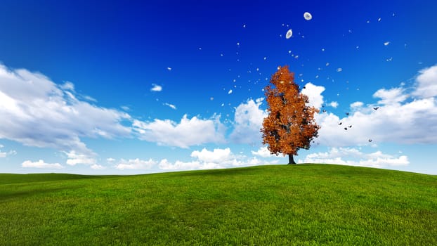 trees in a meadow with blue sky