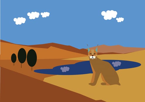 Wildcat