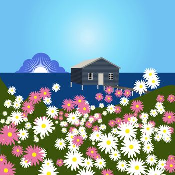 Home in Sea