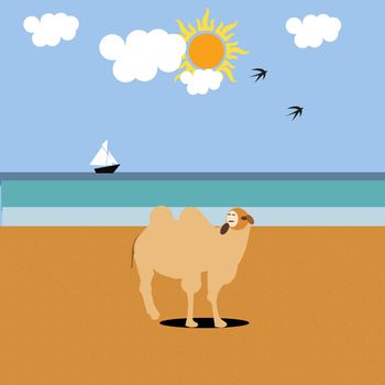 Camel on the beach