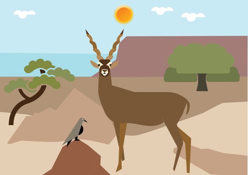 Antelope