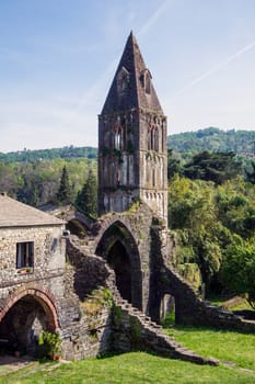 ruins of an old abbey suspended in time