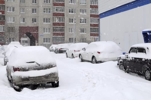 The cars brought by snow, stand on a road roadside