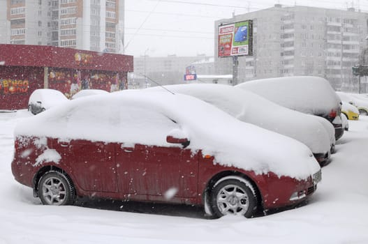 The cars brought by snow, stand on a road roadside