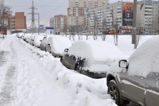 The cars brought by snow, stand on a road roadside