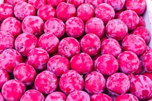 Photo of the background fresh red plum