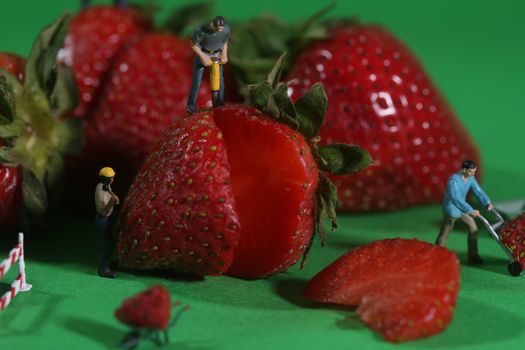 Miniature Construction Workers in Conceptual Food Imagery With Strawberries