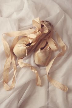 Romantic Posed Pointe Shoes in Natural Light 