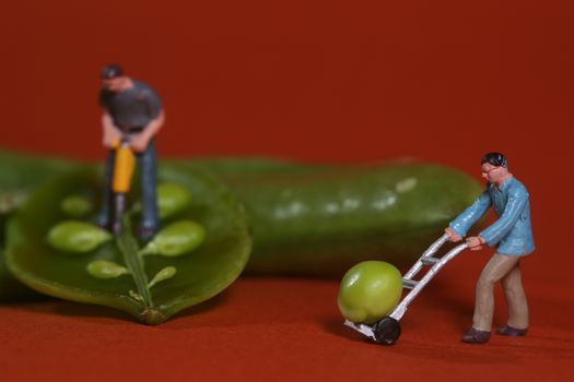 Miniature Construction Workers in Conceptual Food Imagery With Snap Peas