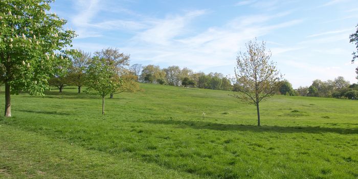 Primrose Hill park in London, England, UK