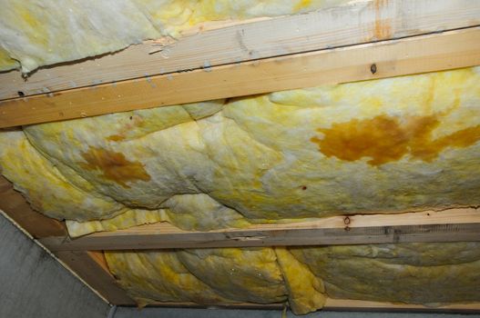 Detail of a wet faulty ceiling insulation in a basement.