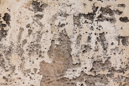 Texture cement wall background,vintage style