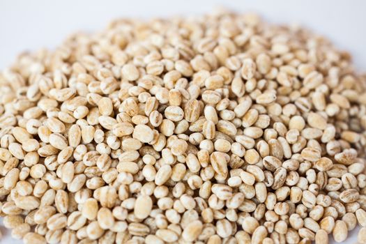 Dry bean and nut on white background