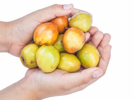 Monkey Apple Green Fruit of Nature in boy hand on background white