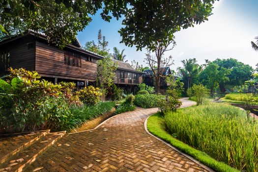 Green rice field in the villa built from rice barn