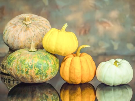 still life color-full little pumpkins