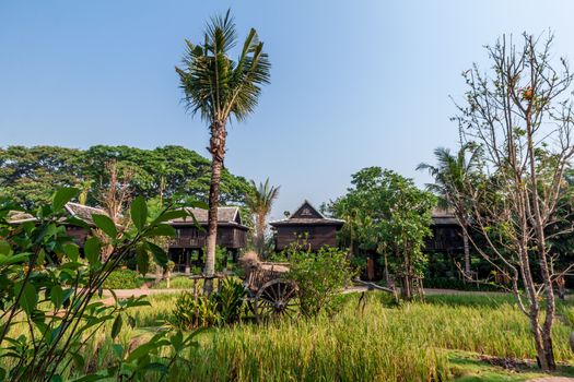 Green rice field in the villa built from rice barn